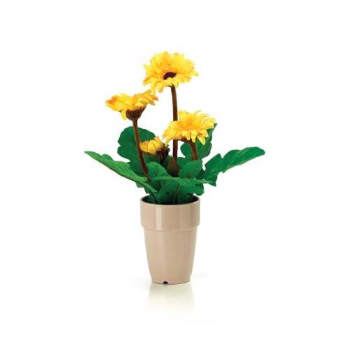 Gerbera Yellow